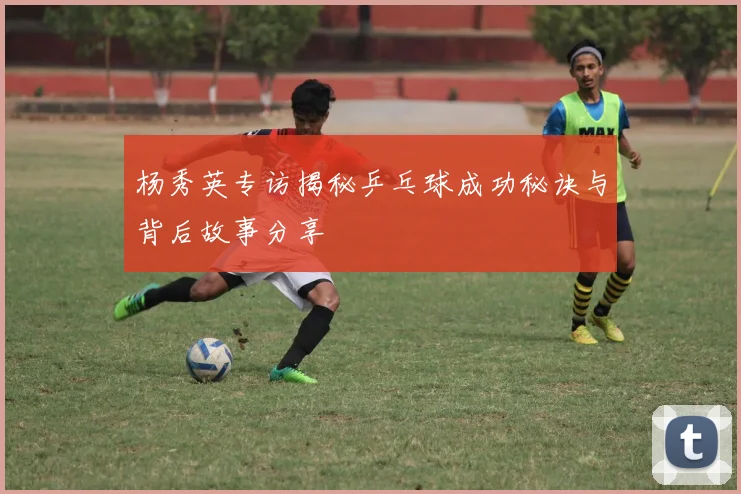 杨秀英专访揭秘乒乓球成功秘诀与背后故事分享